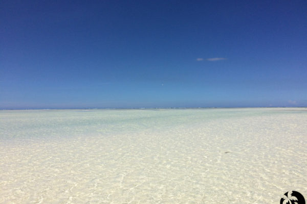 Tropisk strand zanzibar
