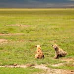 Rejse - Adventure - Safari - Hiking - Tanzania - Afrika - Højskole i udlandet