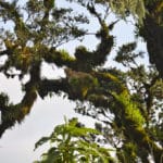 Rejse - Adventure - Safari - Hiking - Tanzania - Afrika - Højskole i udlandet