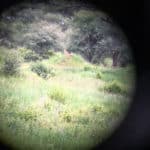 Rejse - Adventure - Safari - Hiking - Tanzania - Afrika - Højskole i udlandet