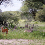 Rejse - Adventure - Safari - Hiking - Tanzania - Afrika - Højskole i udlandet