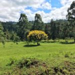 Rejse - Adventure - Safari - Hiking - Tanzania - Afrika - Højskole i udlandet