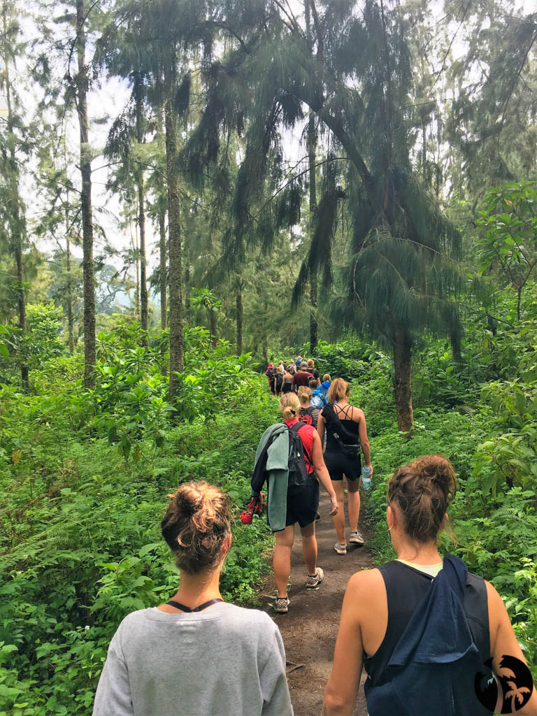 Rejse - Adventure - Safari - Hiking - Tanzania - Afrika - Højskole i udlandet