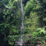 Rejse - Adventure - Safari - Hiking - Tanzania - Afrika - Højskole i udlandet